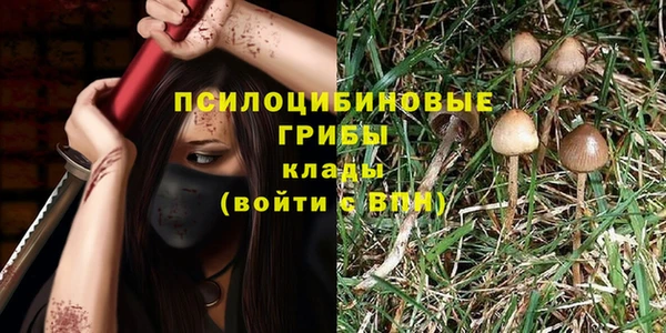 гашик Алзамай