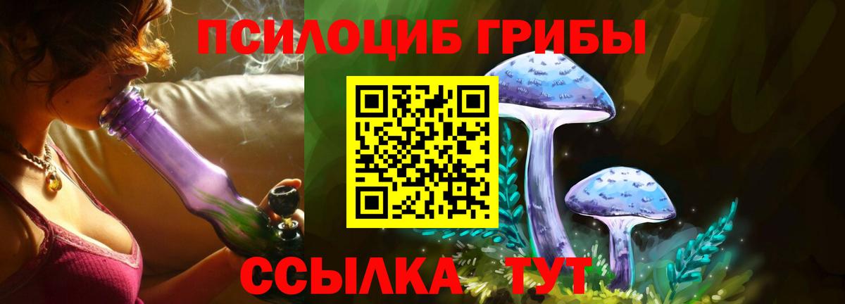 Псилоцибиновые грибы MAGIC MUSHROOMS Донской