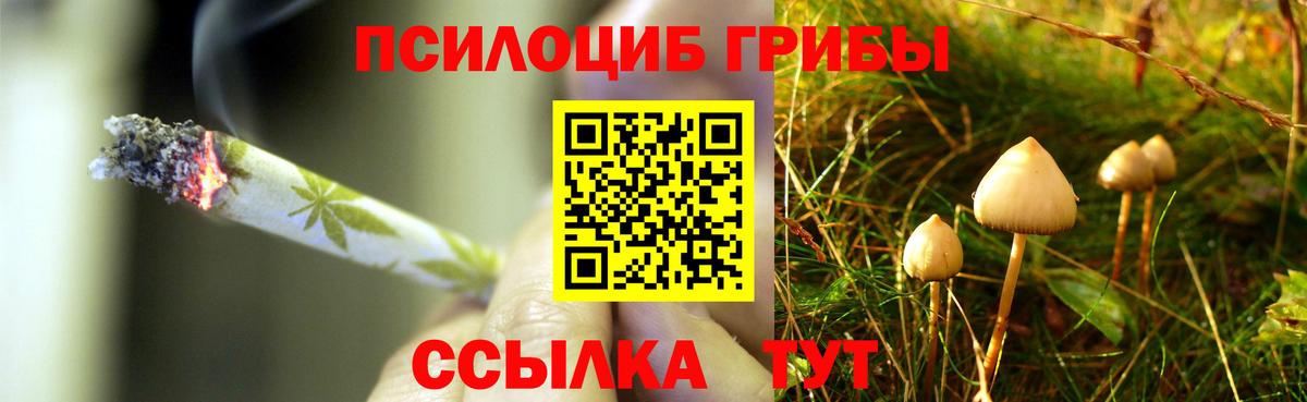 Донской  Псилоцибиновые грибы прущие грибы  Вход с VPN 