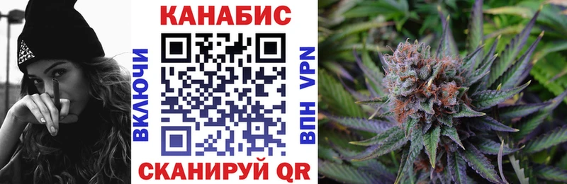 shop какой сайт  Донской  Каннабис семена 
